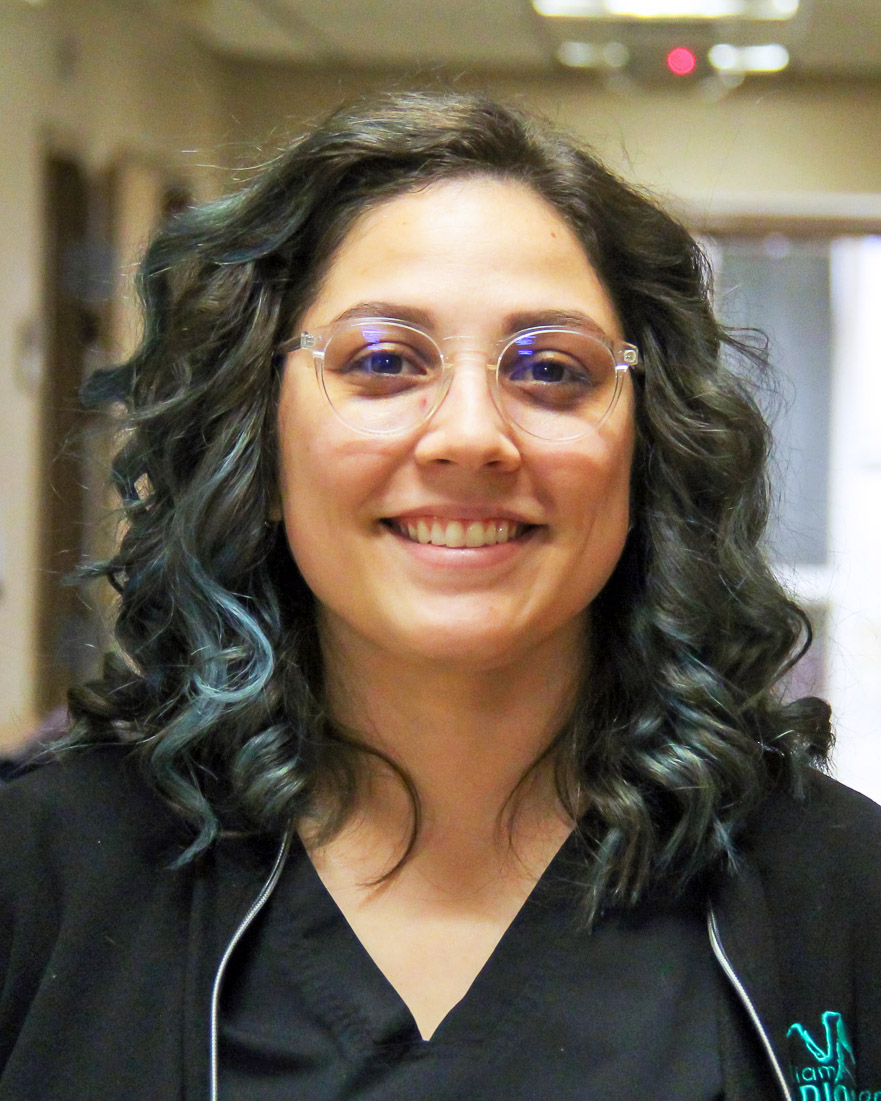 Director of Radiology